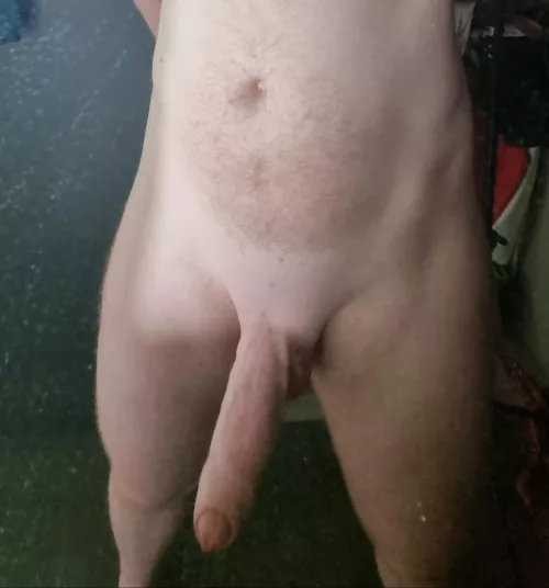 Good morning to all the bwc lovers out there