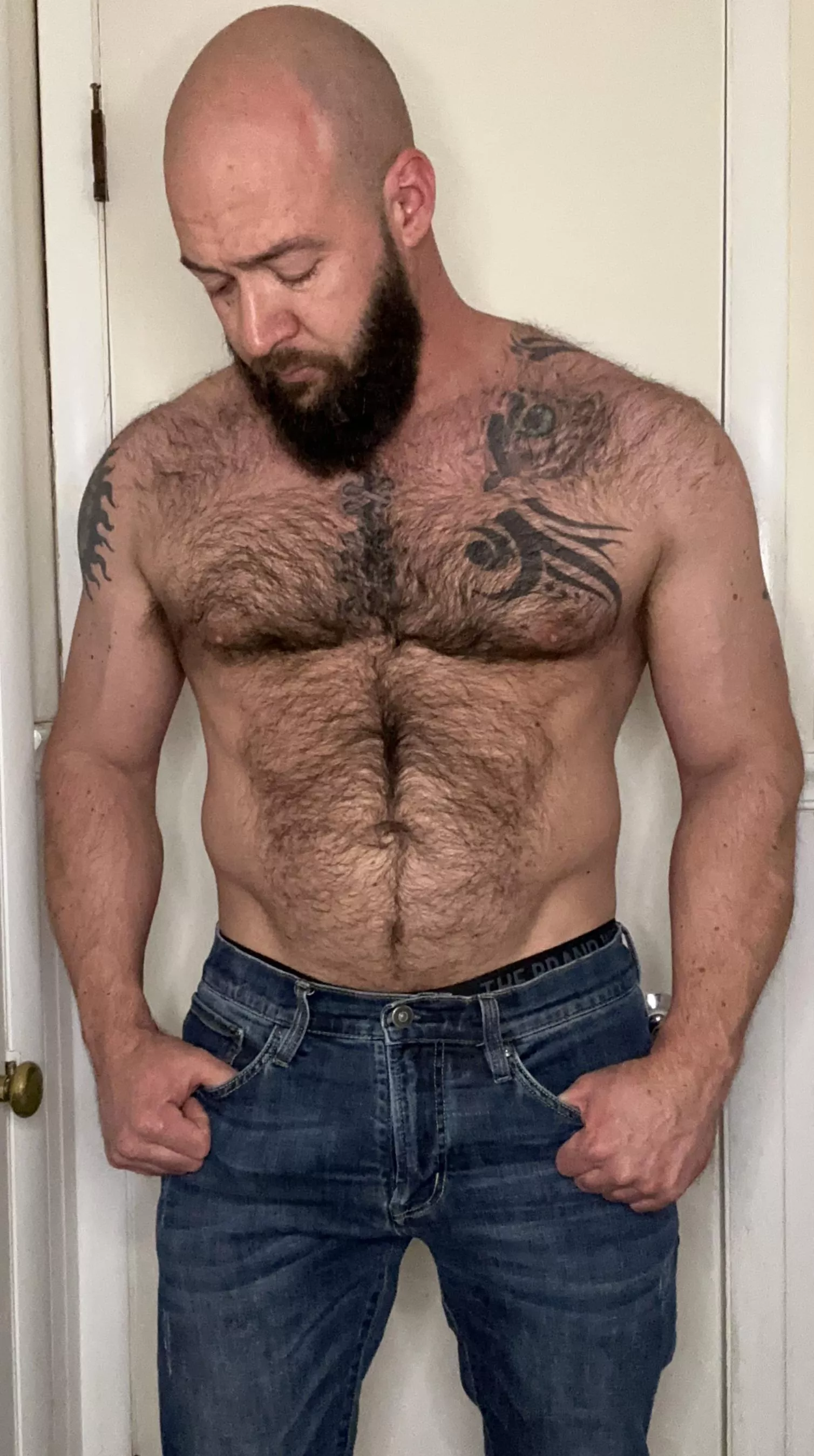 Hairy chesticles