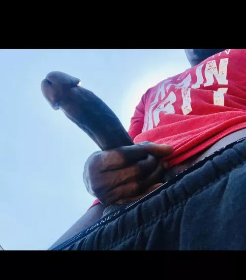 He will fill you up, rearrange your insides, and make you moan and cum!