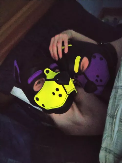 He's a tired puppy today