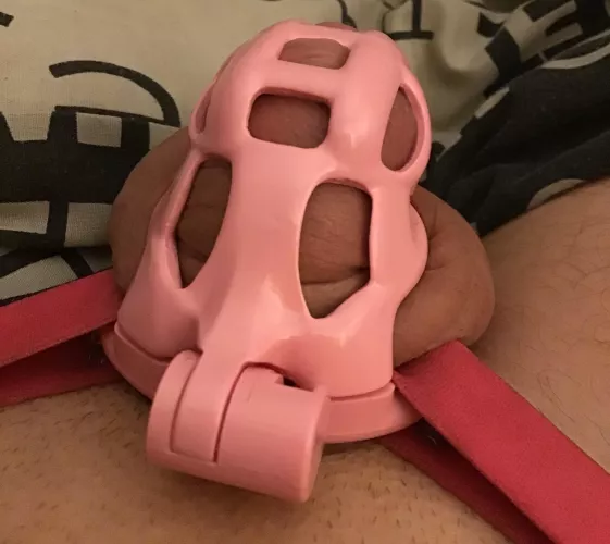 I need 50 votes, do what you feel😉