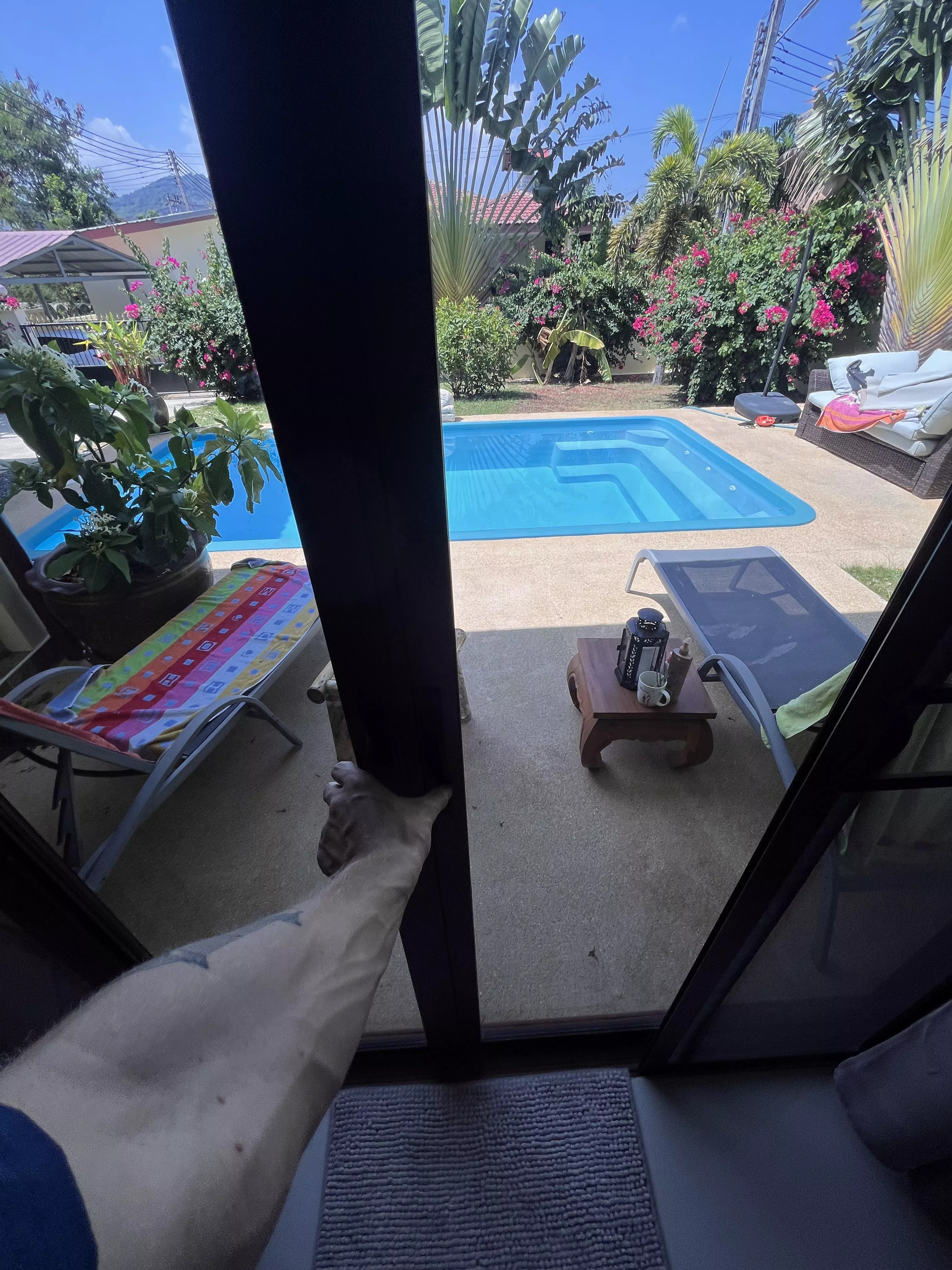 join me at the pool?