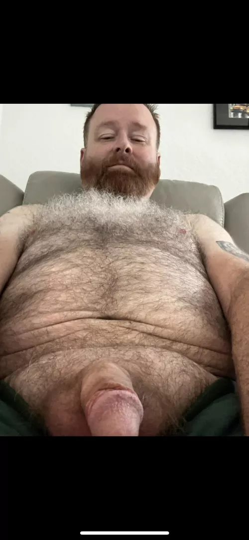 Just a bear in Texas