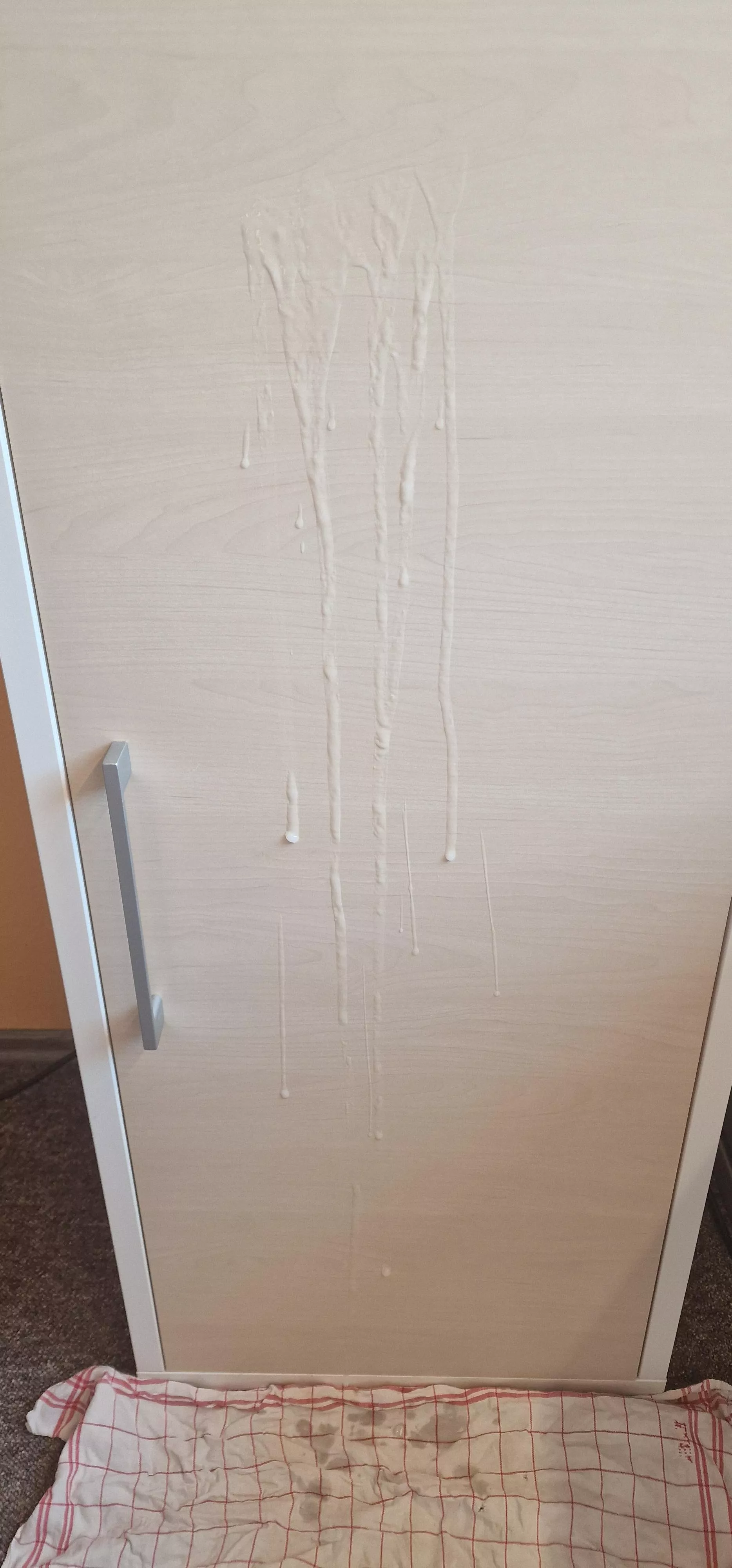 Looking to cum for a sexy redditor again