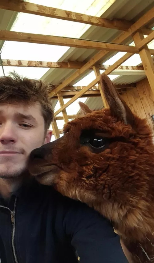 Lulu demands attention!