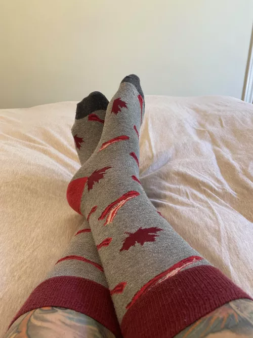 [M] Love my bacon socks ❤️ where my Canadians at?