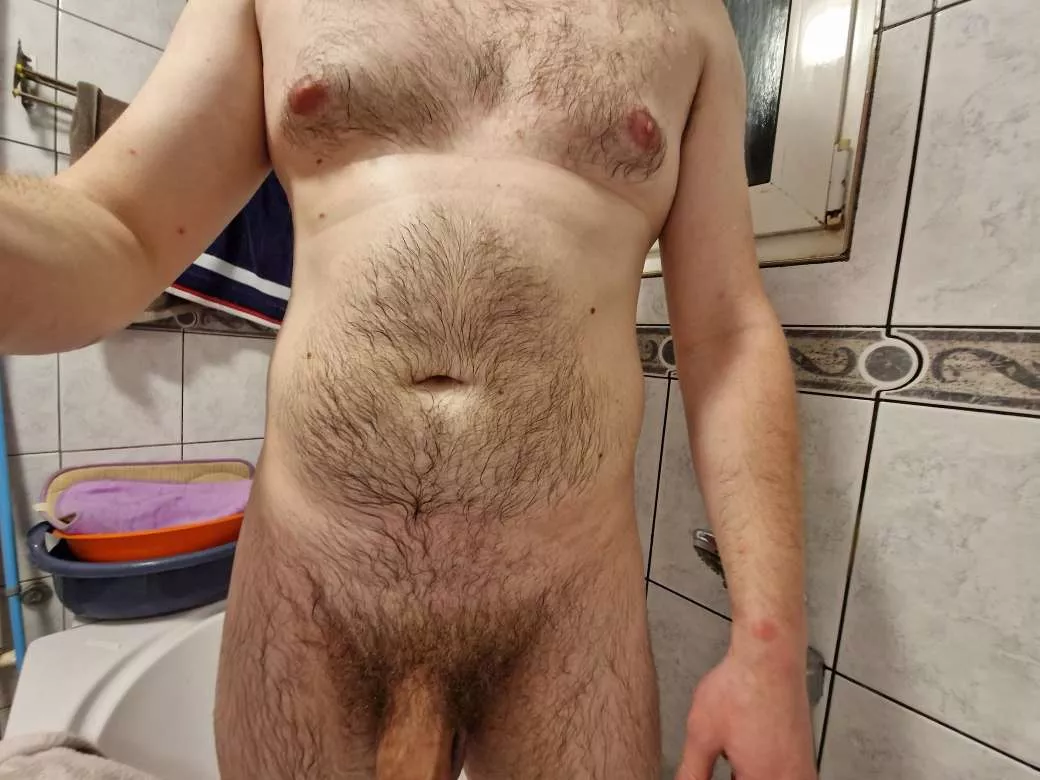 Massive bull is ready for compare