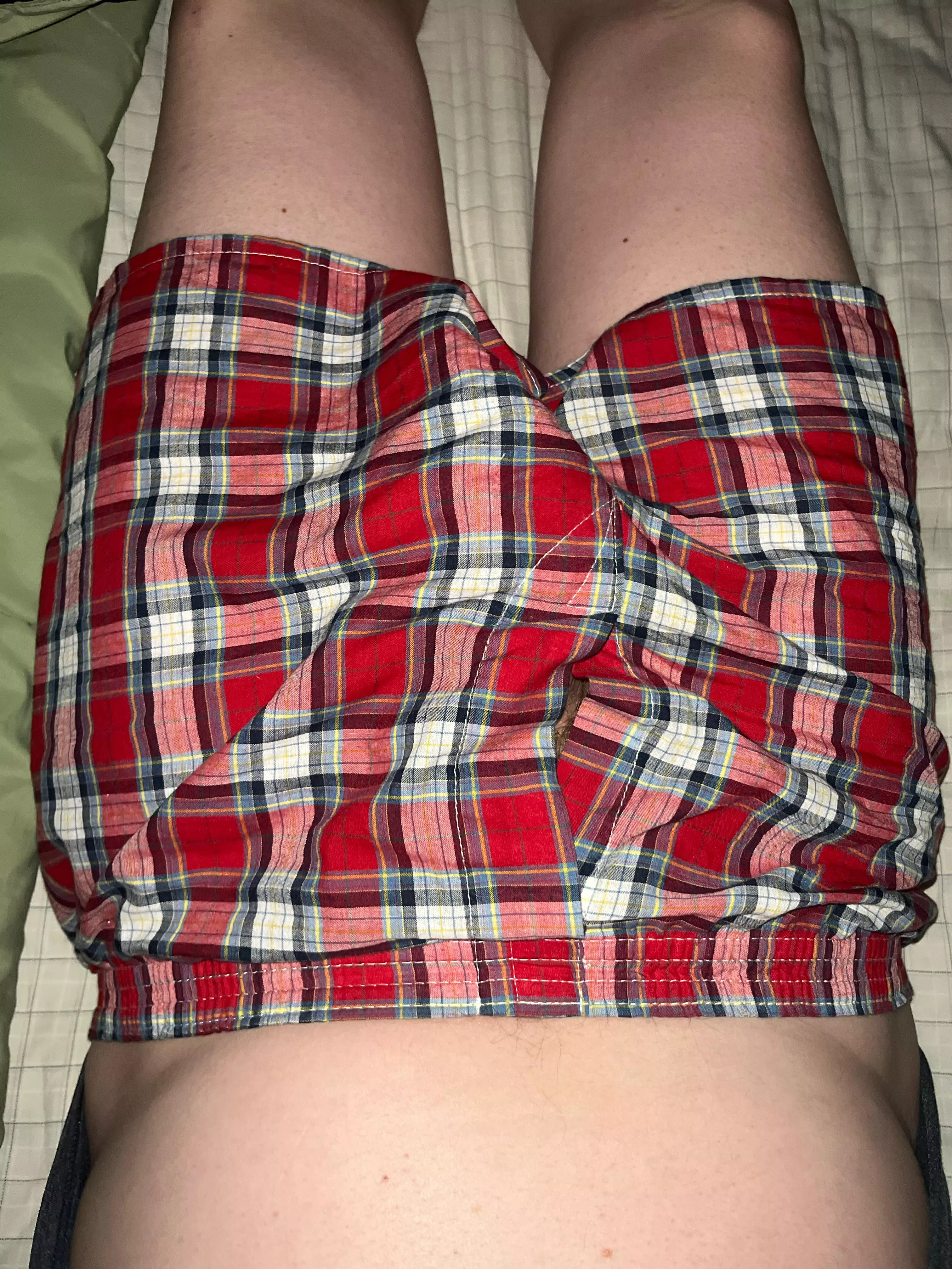 My favorite fruit of the looms