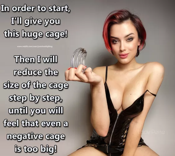 Now you know what to expect ....