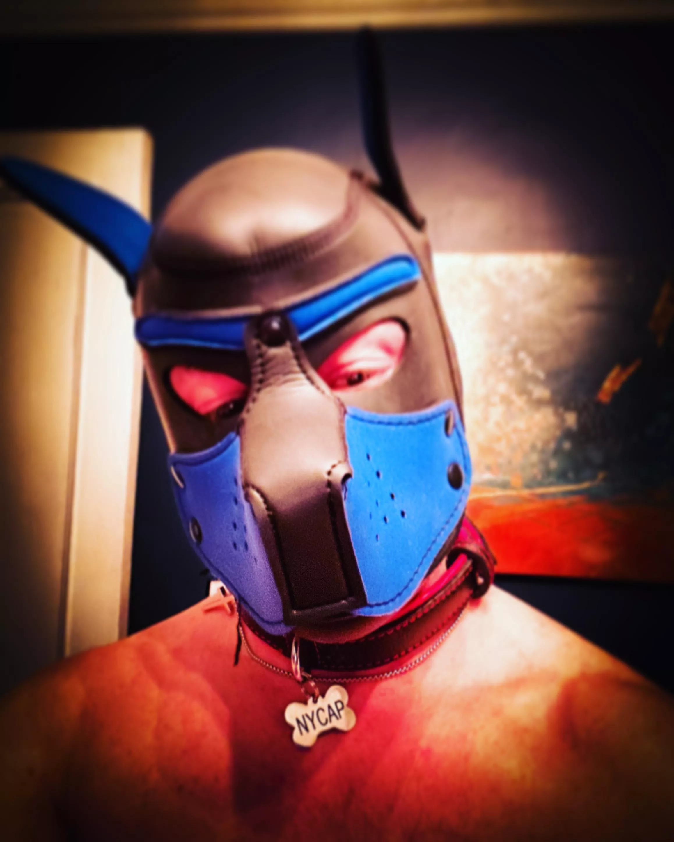 NYCAP pup tags for my pups #nyc #nycap #pupplay #pupplaycommunity #alphapup #pack #gaypup