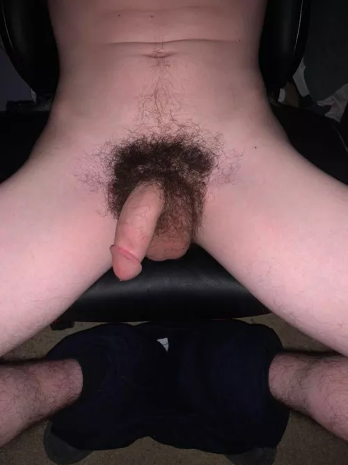 Patiently waiting for a big fuzzy bear to cuddle me 🥺🥰🐻