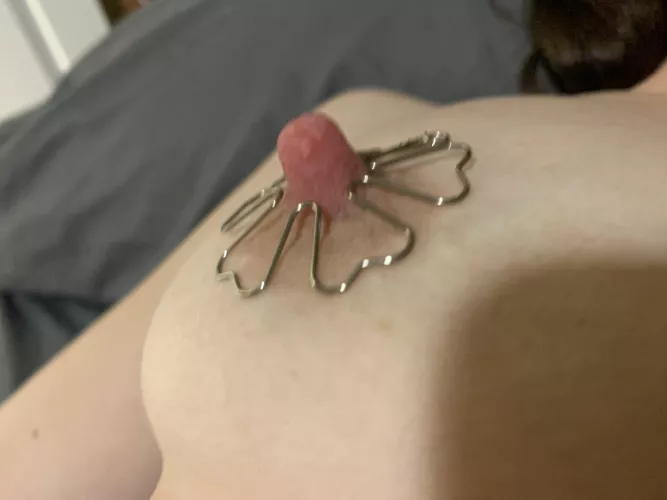 The Eiffel Tower of nipples