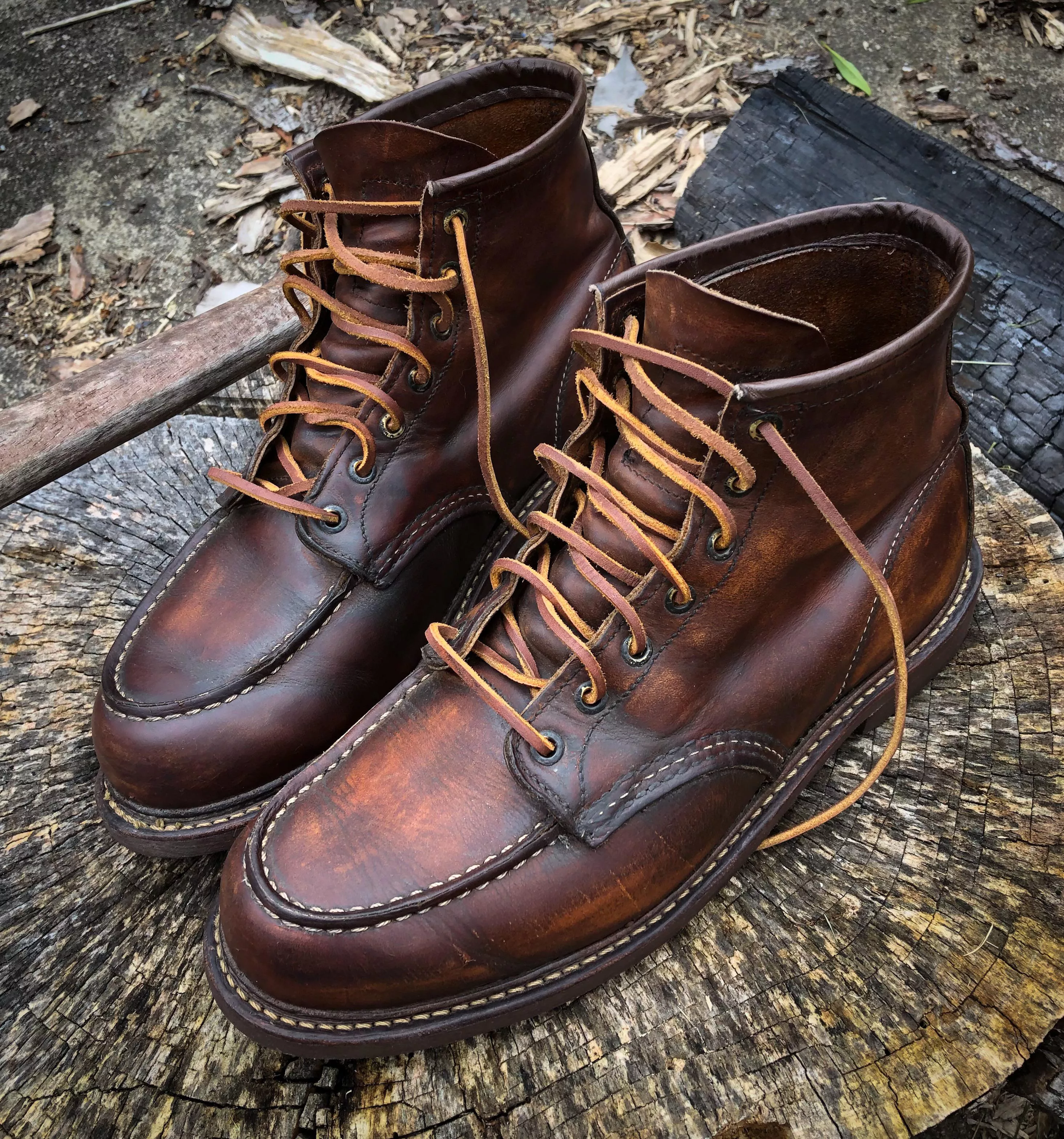 1907’s freshly conditioned