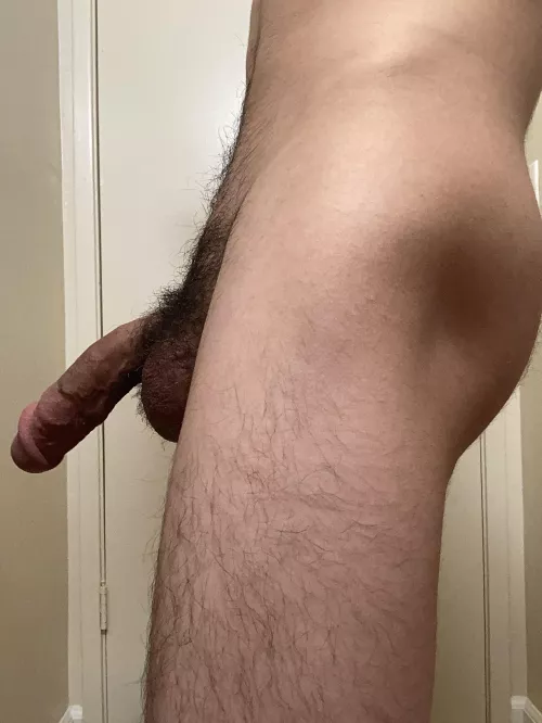 21 california dms open