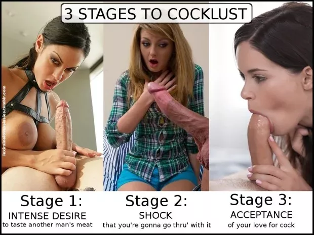 3 Stages of cocklust