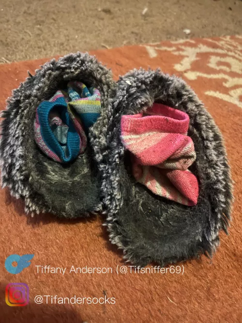 Bury your face in my slippers to get my full scent