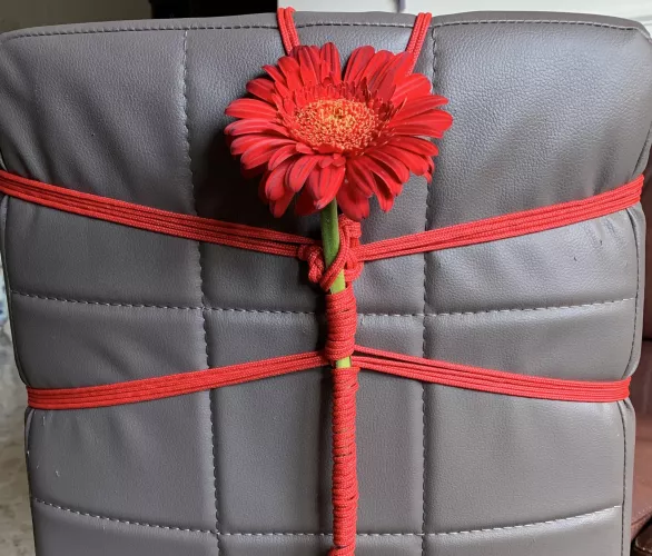 Capturing the beauty of flowers