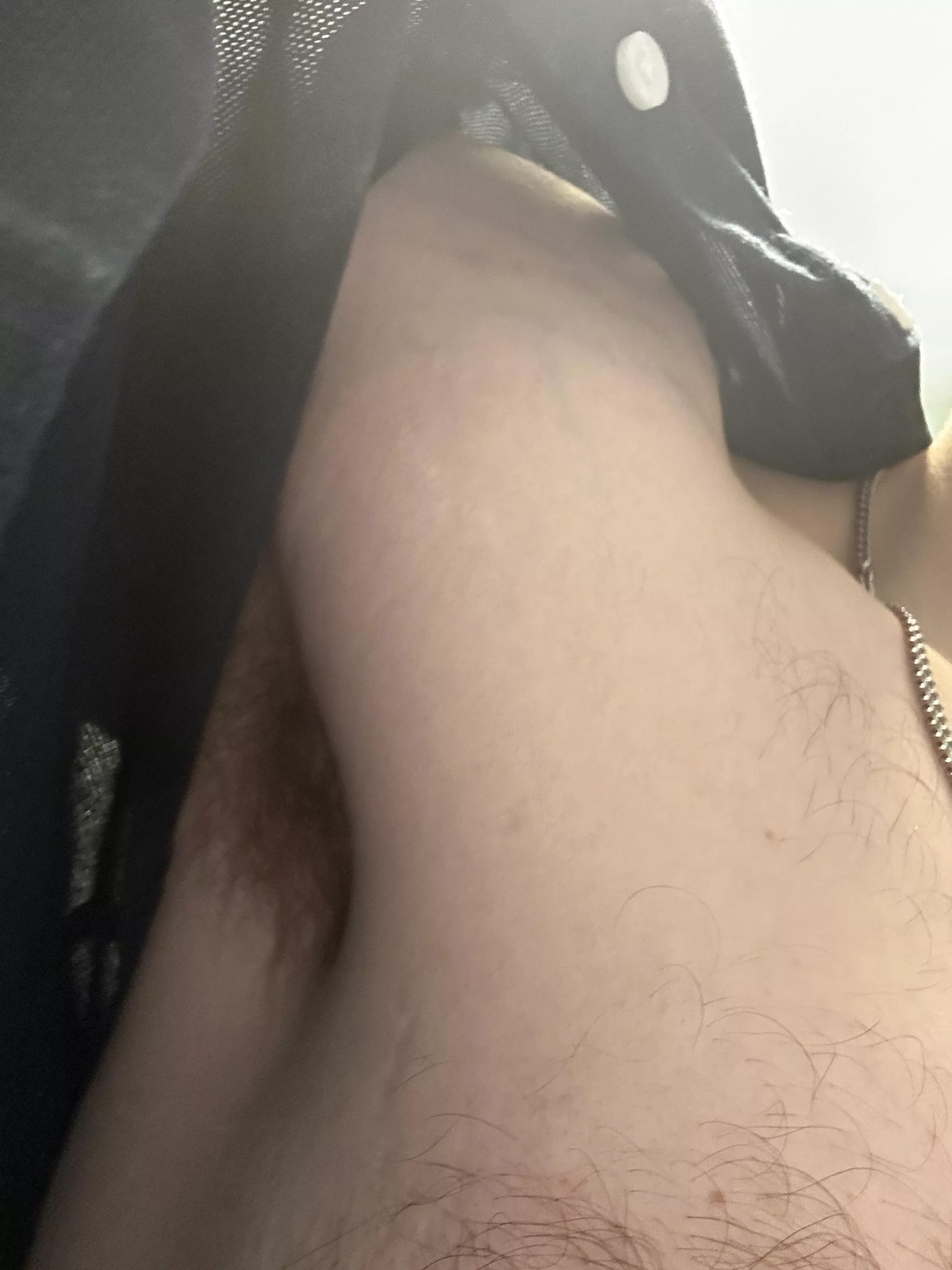 Come here and have a sniff