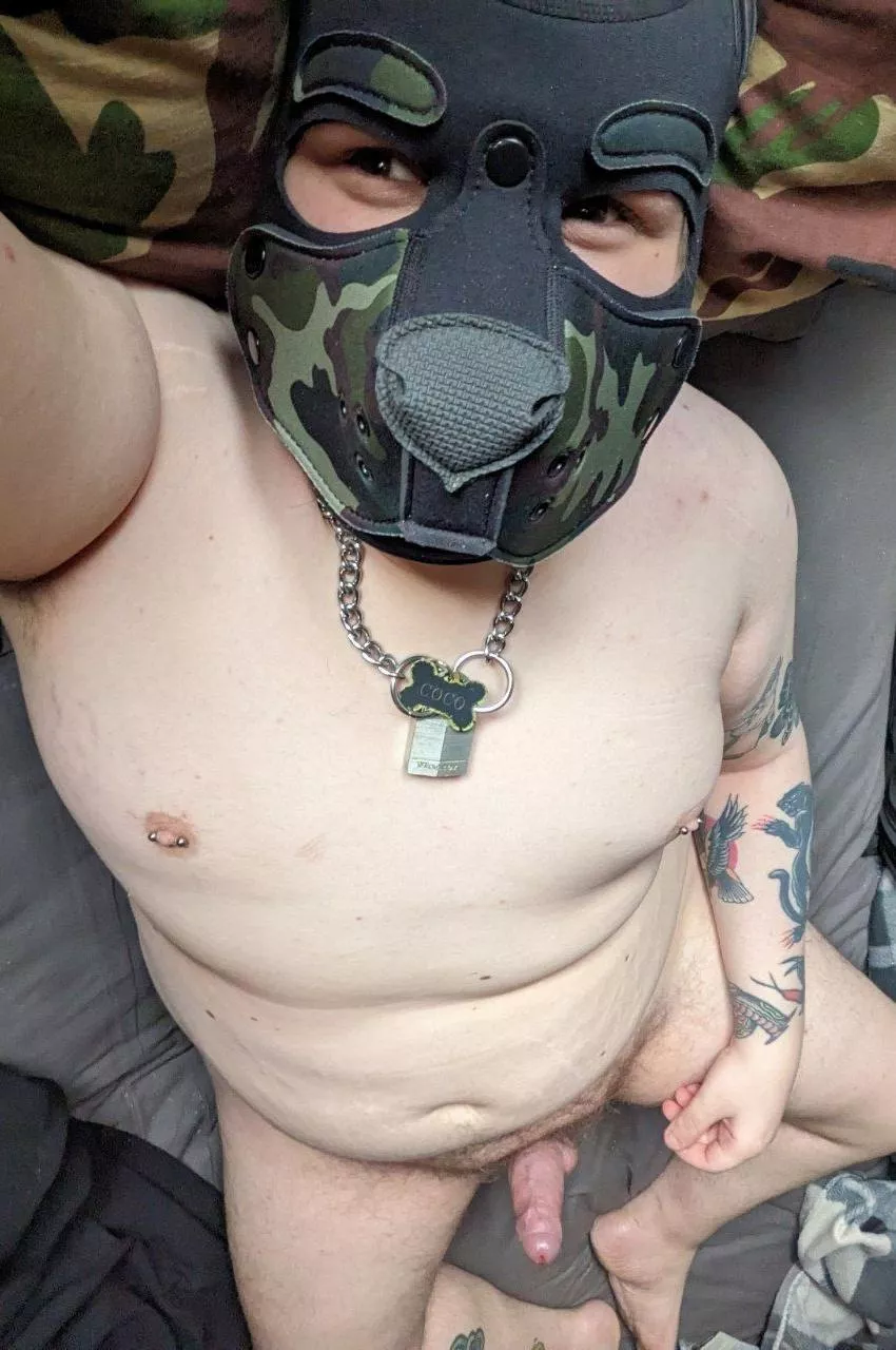 Could use a hand with this