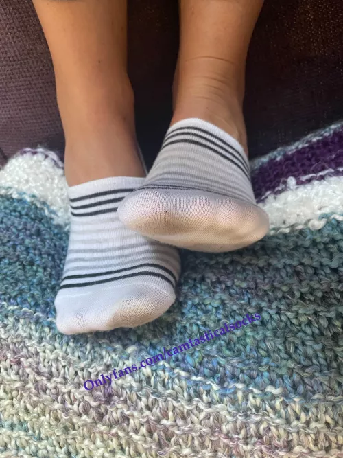Dirty Bottoms Striped No Show Socks Steve Madden [F]