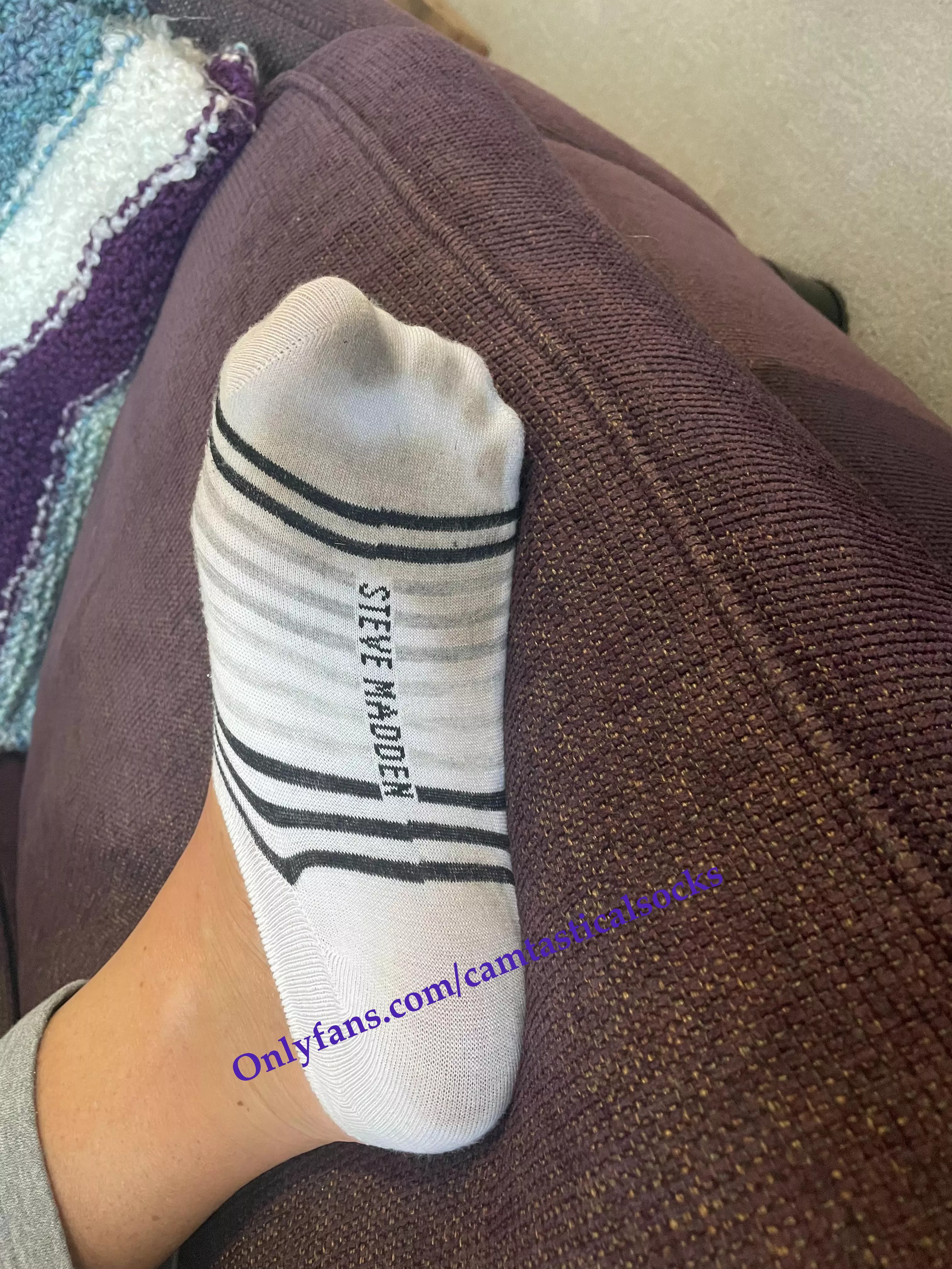 Dirty Bottoms Striped No Show Socks Steve Madden