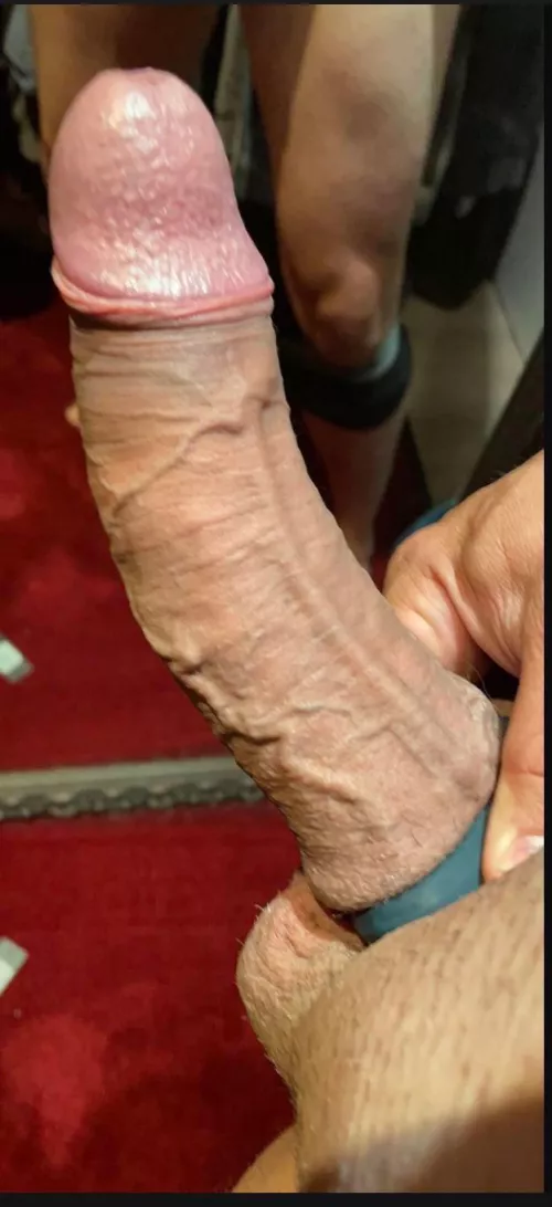 Experienced 40yo bull looking for couples, hit me up!