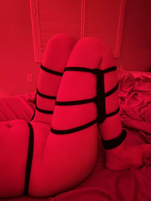 First shibari session