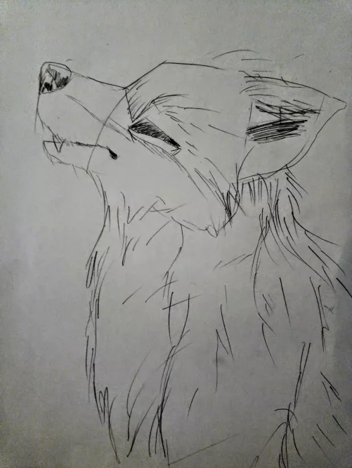 Five minutes drawing challenge wolf (by me)