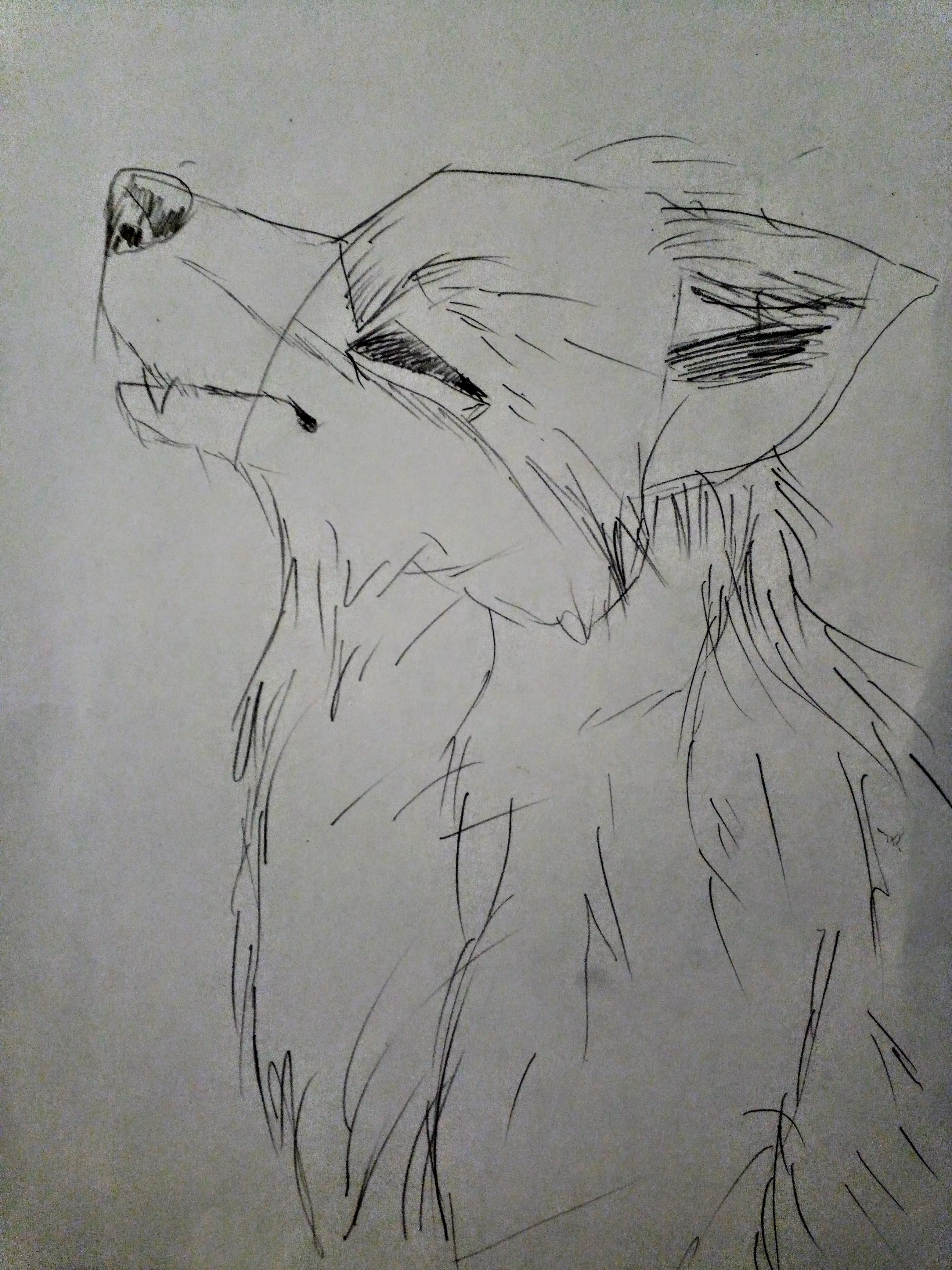 Five minutes drawing challenge wolf (by me)