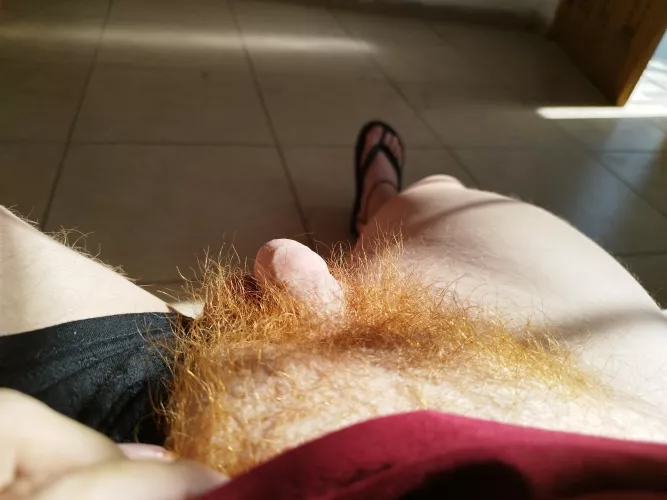 Here are my red pubes!!
