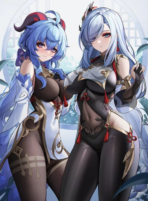 Shenhe & Ganyu [Genshin Impact]