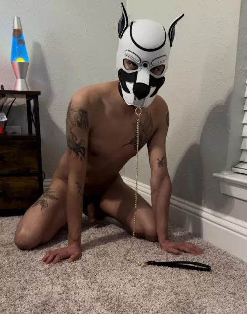 Someone take the lead 😈