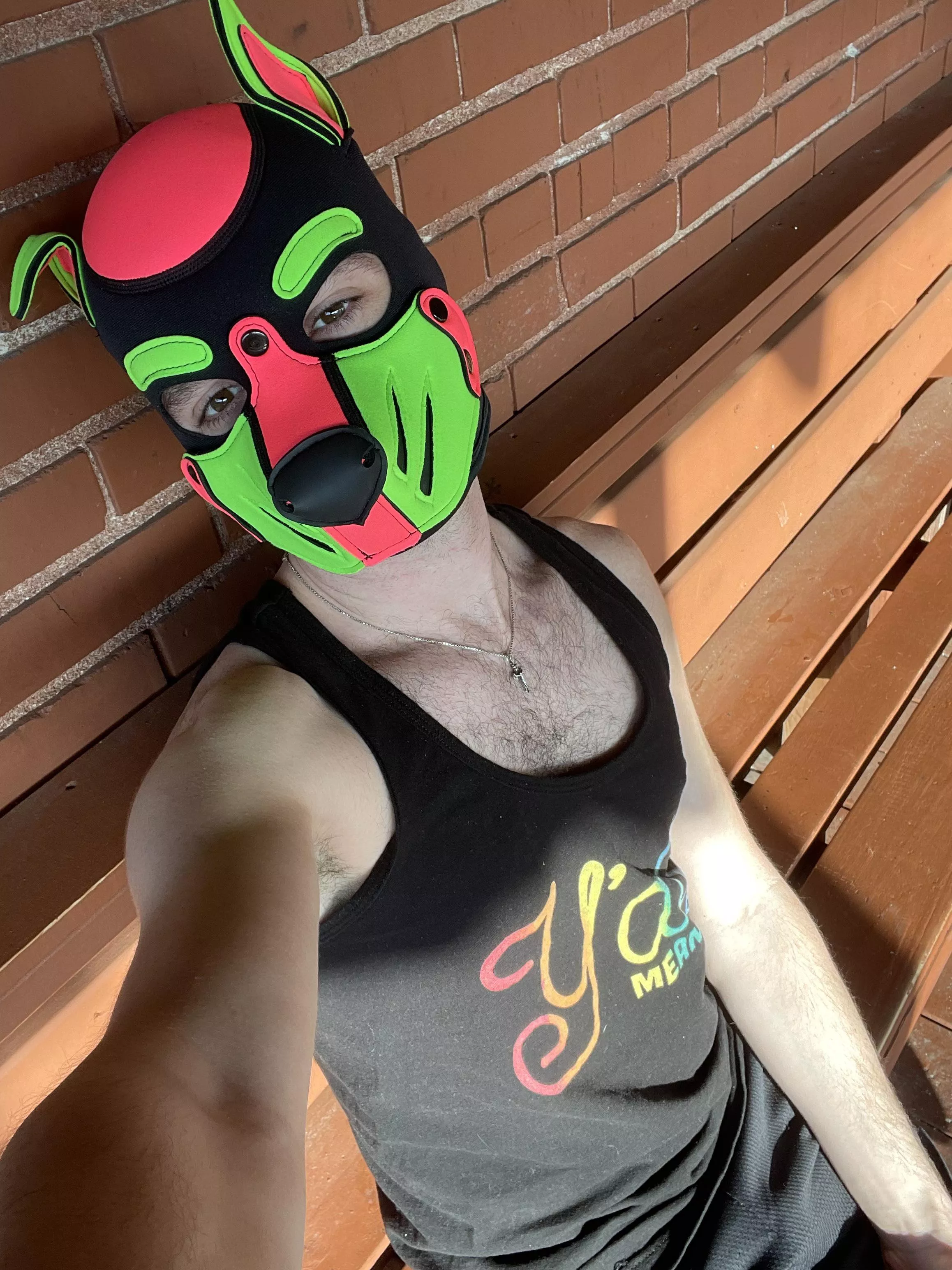 This pup loves to sunbathe