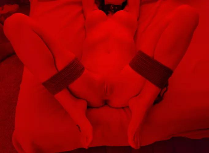 Tied for easy access