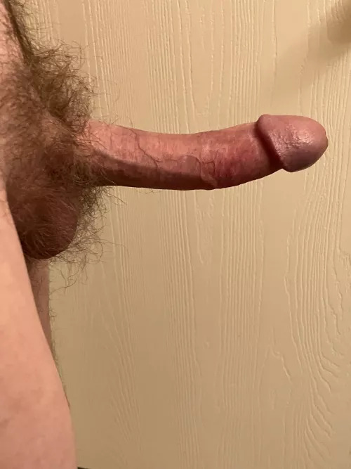 What do ya think of the guys?