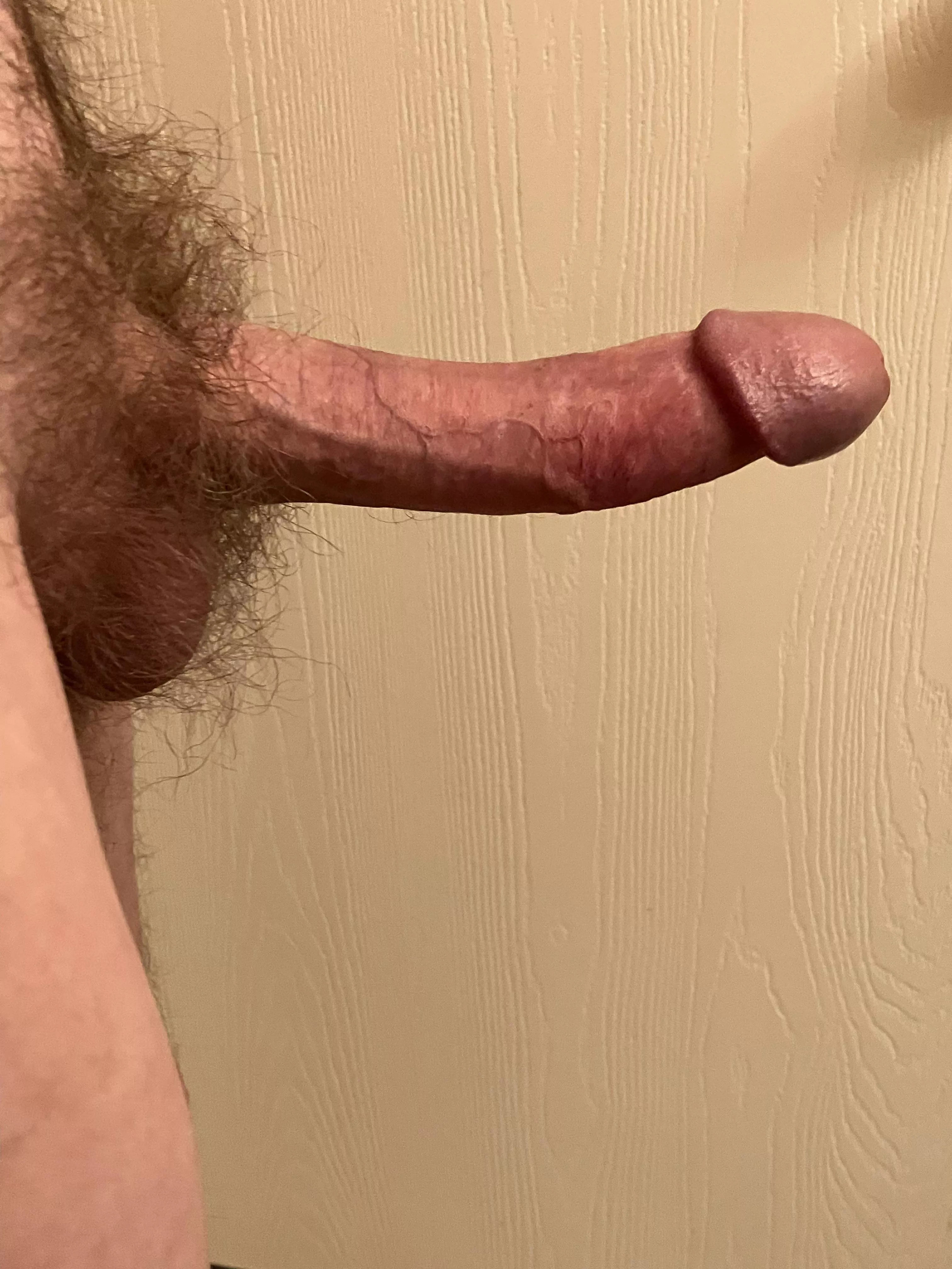 What do ya think of the guys?