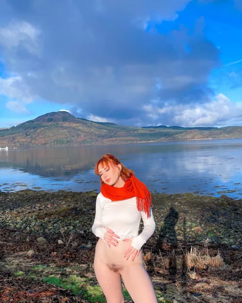 Where shall I bring my bush next?