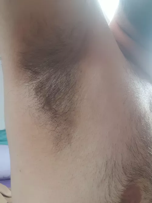 You want to tasty them?