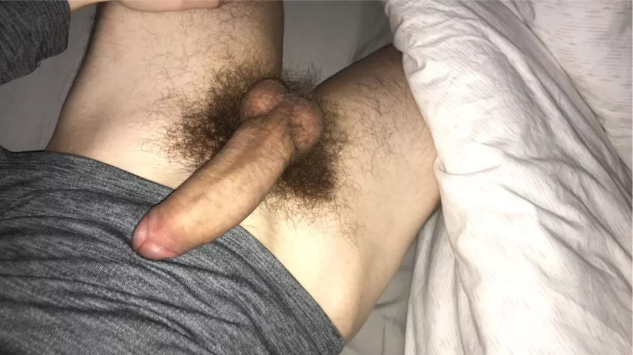 22 H_em007 bottoms hmu