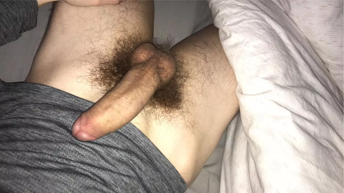 22 H_em007 bottoms hmu