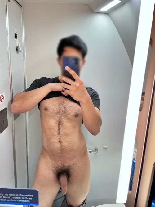 Airplane bathroom softie