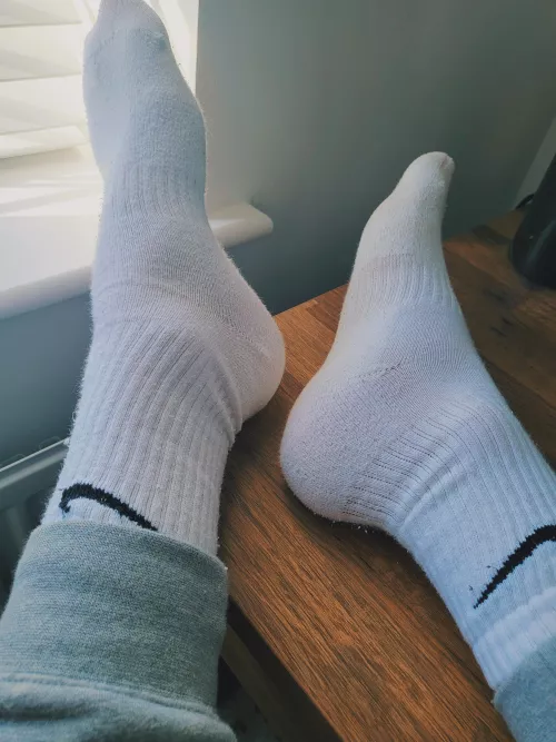Any sock lovers here? 👀