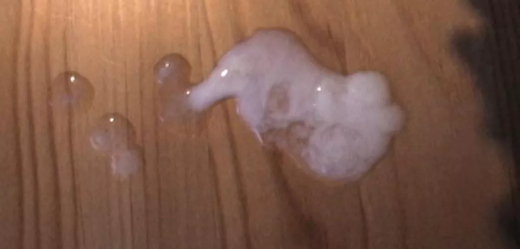 Anyone can send me there cum shots and I’ll rate them