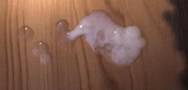 Anyone can send me there cum shots and I’ll rate them