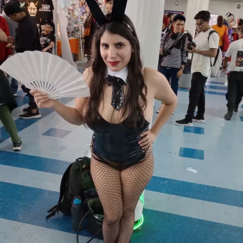 Bunny girl from Argentina 🇦🇷 at Mexico cosplay event! 🥰