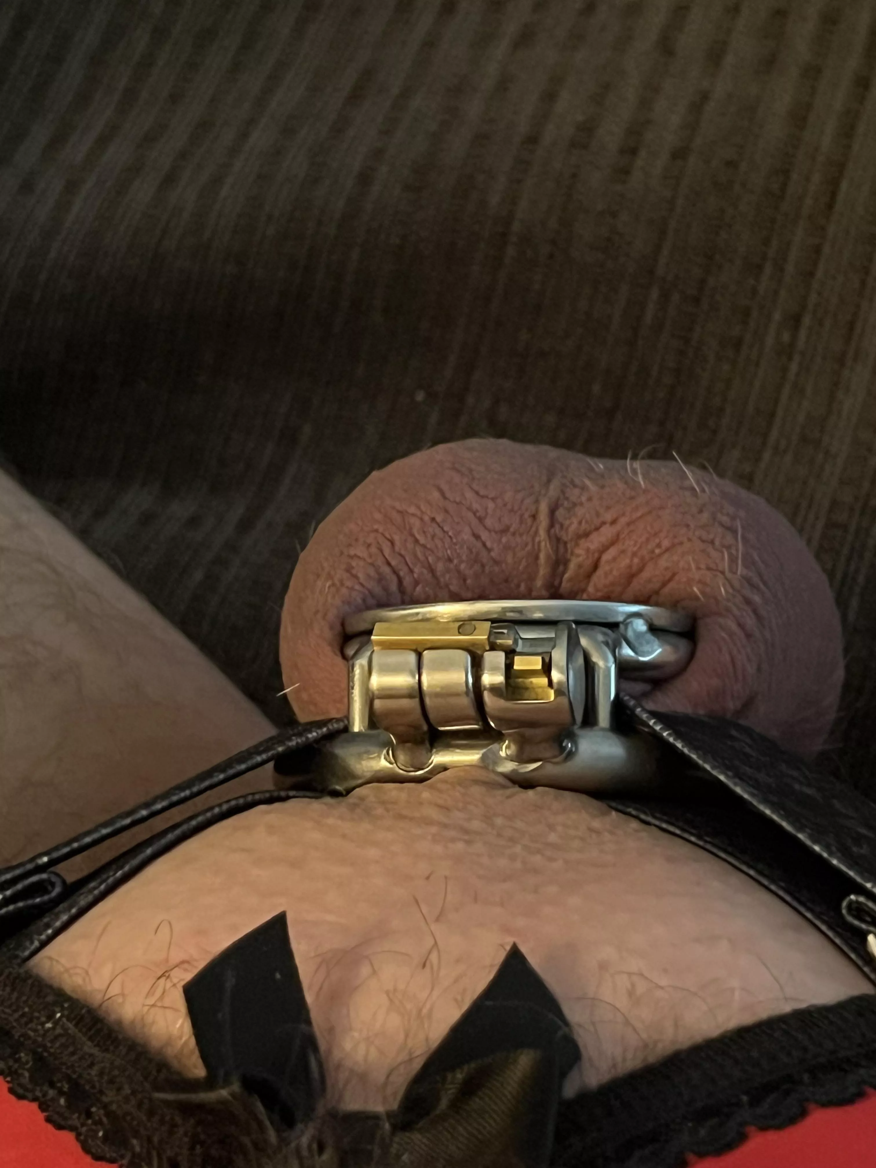 Flat cage! First time.....super excited!