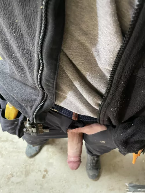 Half hard at the job site. [33]