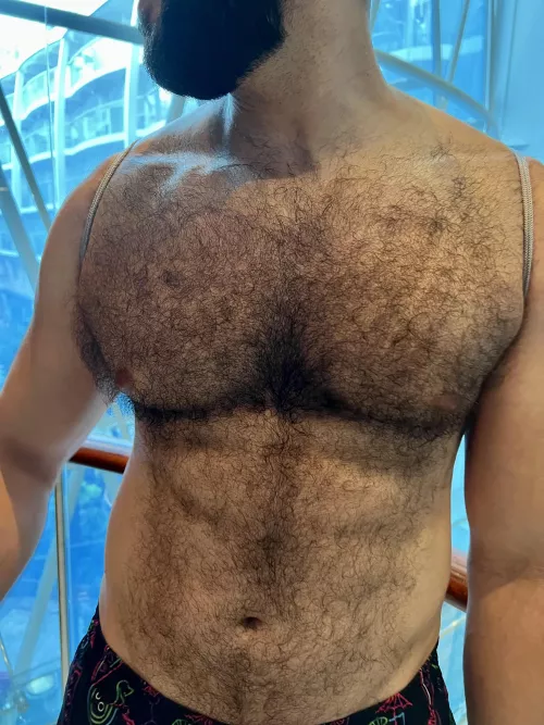 I Think The Sun Made Them Swell