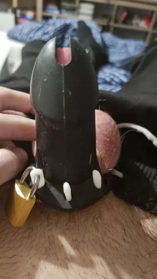 I'm still a man right ?