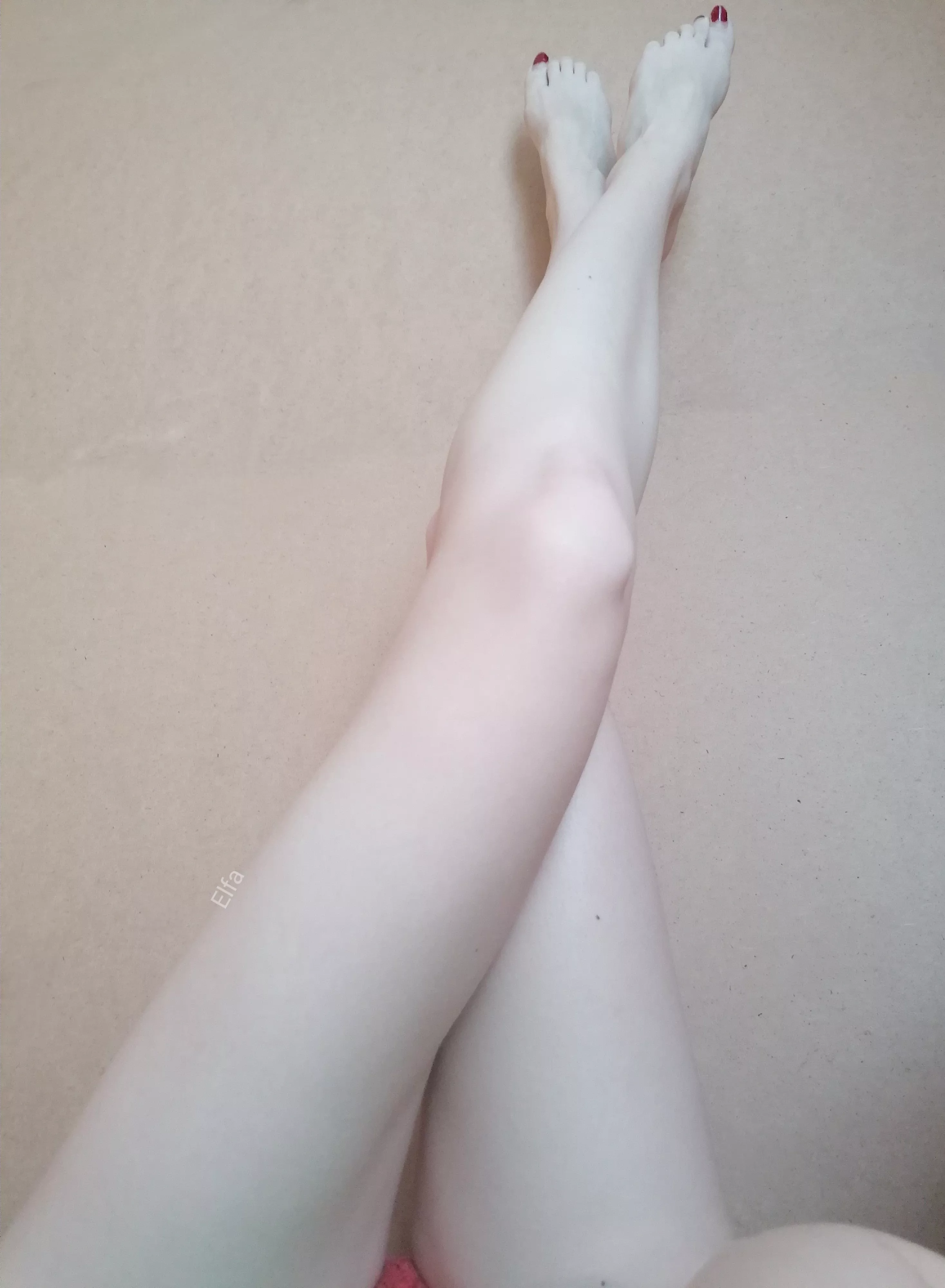 🐾Massage my paws🐾